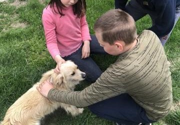 Na wiejskim podwórku