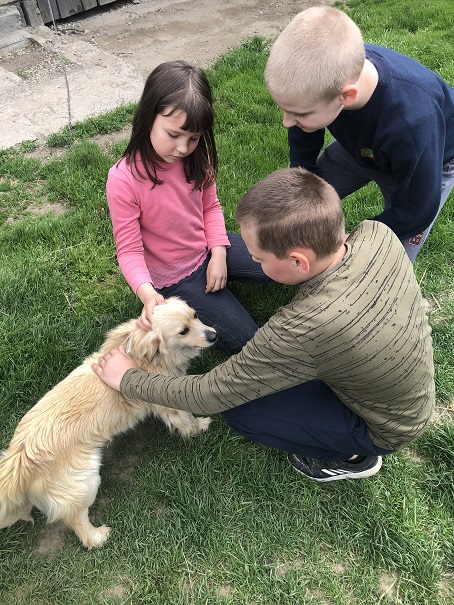 Na wiejskim podwórku