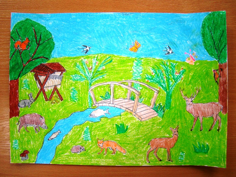 Wokół małopolskich lasów- myśliwy to najlepszy ekolog