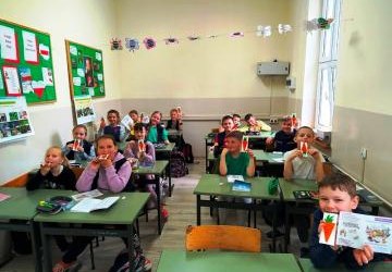 Od nasionka do roślinki