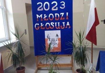 Młodzieżowe wybory parlamentarne