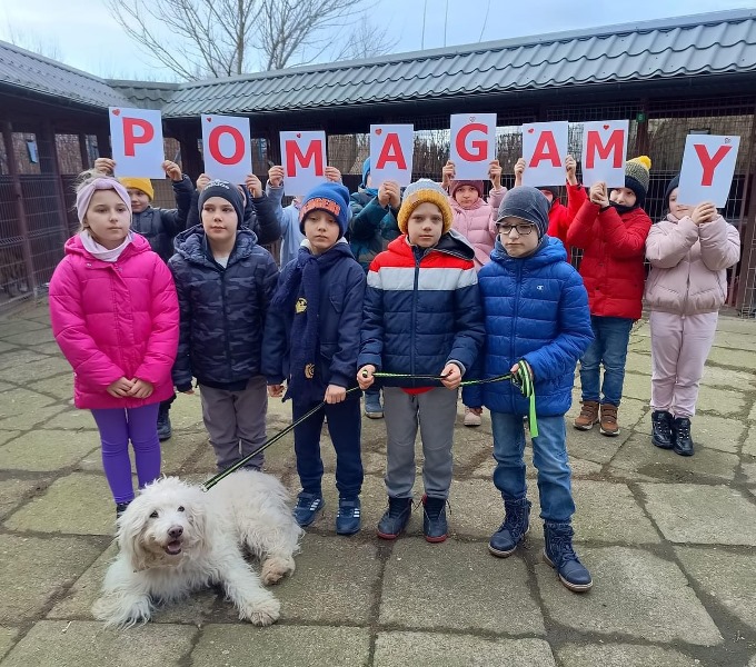 Bądź dobry dla zwierząt – akcja dobroczynna uczniów kl. 2a