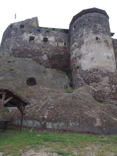 WĘGRY-ZOO SOSTO 019.jpg