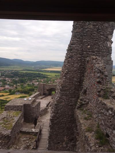 WĘGRY-ZOO SOSTO 066.jpg