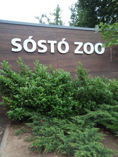 WĘGRY-ZOO SOSTO 142.jpg