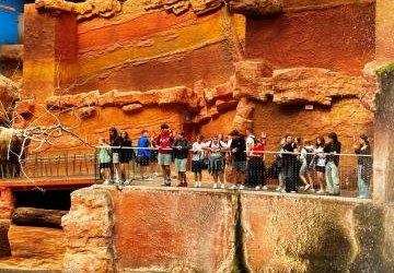 Wycieczka klasy szóstej i ósmej do Wrocławia.