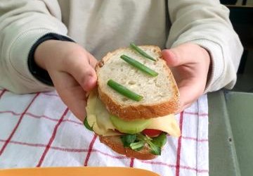 „Kanapka dla Alcesta” – zdrowe przepisy kulinarne