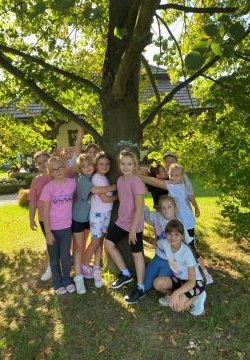 Przytul się do drzewa 2025